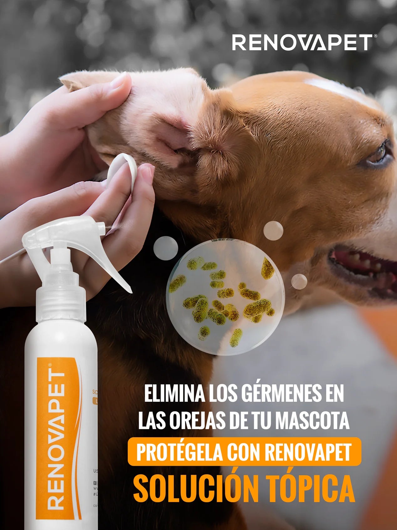 ELIMINA LAS  BACTERIAS, HONGOS Y  ÁCAROS CON  RENOVAPET TOPICO 🐶