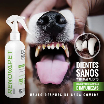 ¡RenovaPet Oral! 🐕 Elimina el mal aliento de tu amigo peludo.