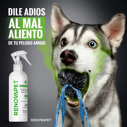 ¡RenovaPet Oral! 🐕 Elimina el mal aliento de tu amigo peludo.