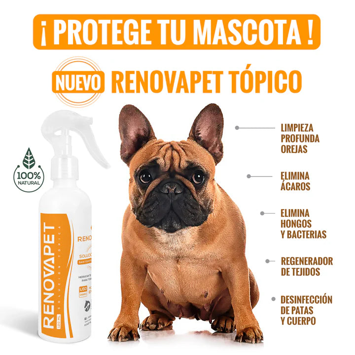 Cura la Otitis de tu Perro en Minutos 🐶🕑