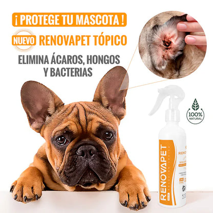 Cura la Otitis de tu Perro en Minutos 🐶🕑