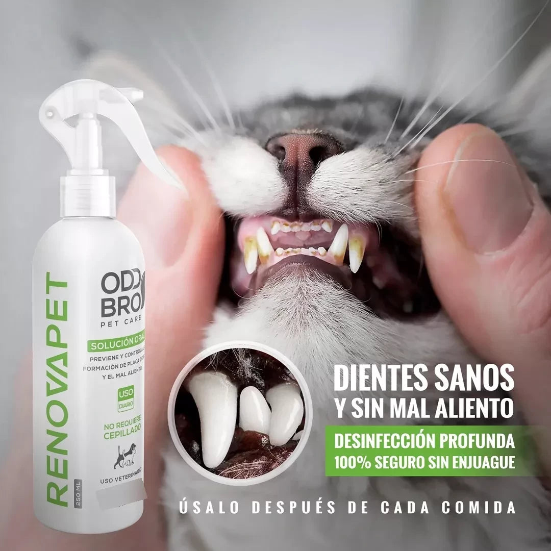 ¡RenovaPet Oral! 🐕 Elimina el mal aliento de tu amigo peludo.